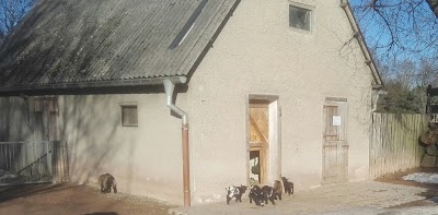 Photos of Falkenstein Zoo