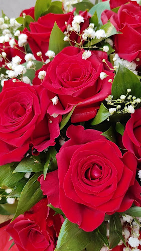 Доставка на цветя Сливен цветя Елеонора