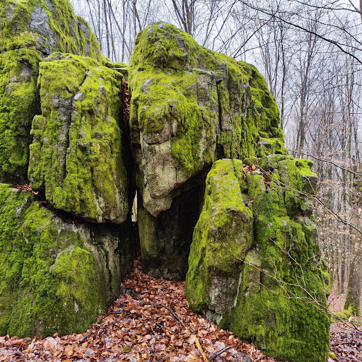Malberg - Visual