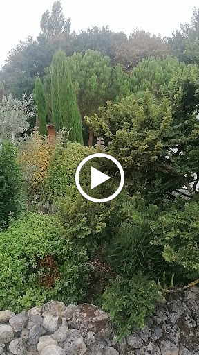 Photo de LE DOMAINE DES ELIES à Nieul-lès-Saintes (17810)