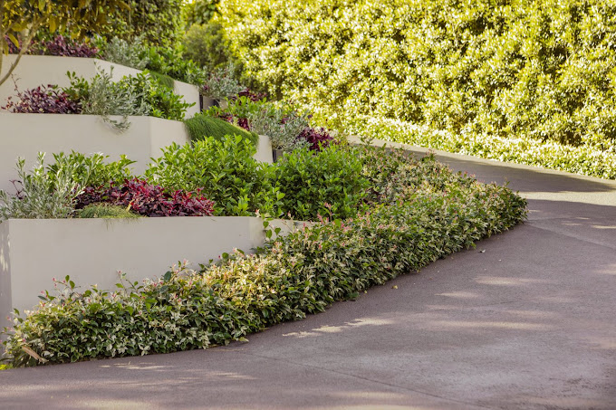 Sydney's Landscaping Success Stories: Transformations Revealed