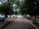 Фотография Оптовый магазин на Кадышева, 6-й проезд Бирлашган, Ташкент, Узбекистан