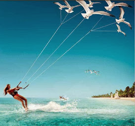 Photo n°8 de Beaulieu Voyages Captours à Beaulieu-sur-Mer (Agence de croisières)