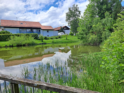 Dorfweiher Ermengerst - Thumbnail
