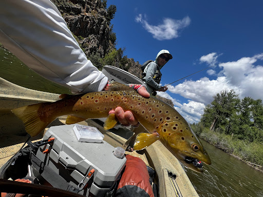 Gunnison River Guides Gunnison Colorado