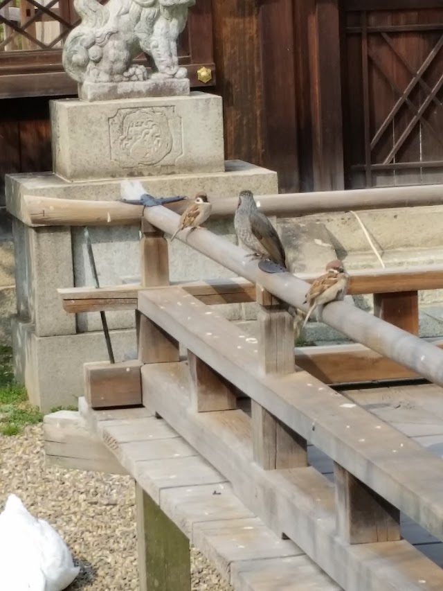 花見発祥の地 神泉苑