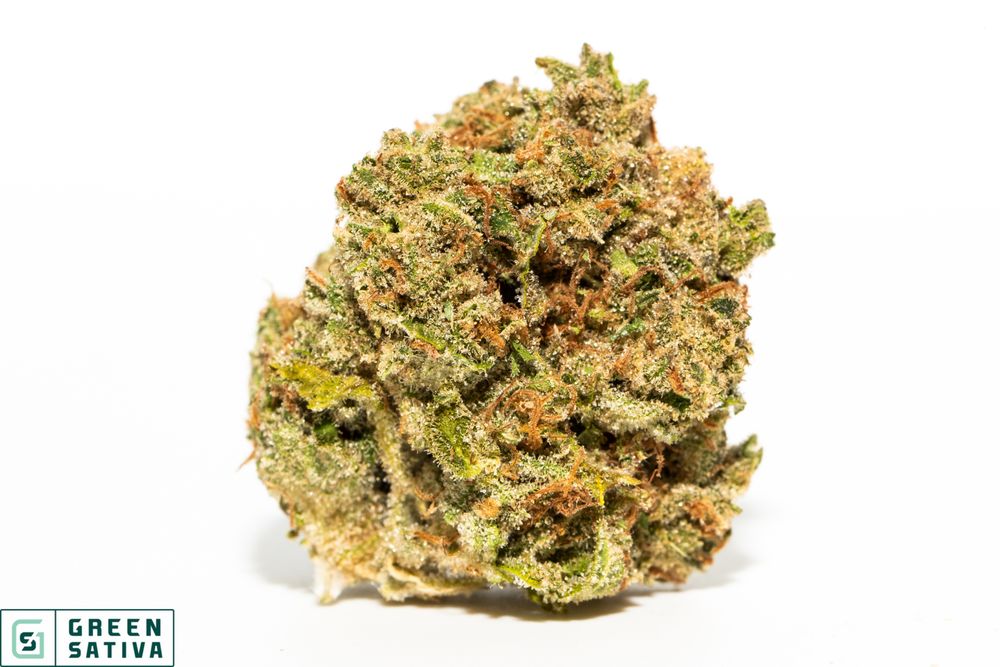 Green Sativa photo 3