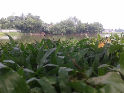 Photos of Grand Festival - Grand Residence Avenue
