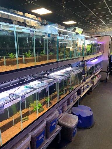 Aquariumexpert Zoetermeer Gallery - Netherlands