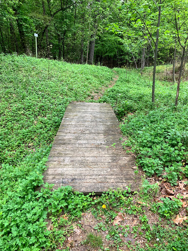 Forest Hills Trail - Thumbnail