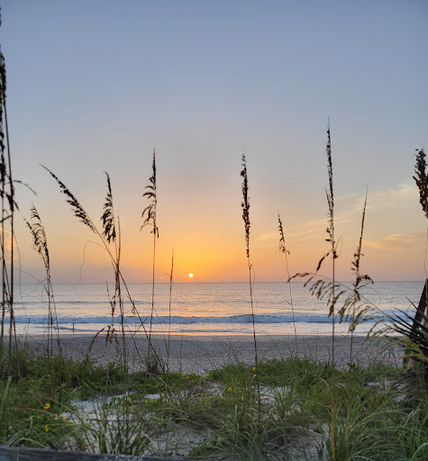 Shell St Beach Access - Visual