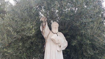 Photos of St. Charbel Maronite Church