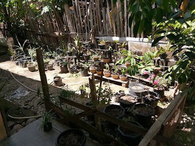 Photos of Andri Abang Boutique