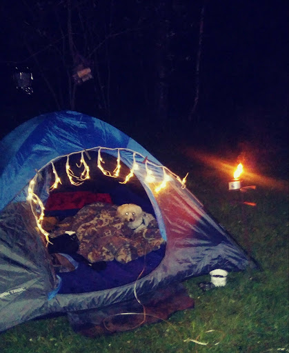 Red Fox Campground & RV Park