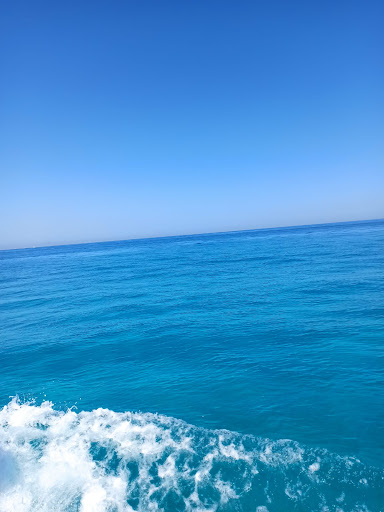 Nemo Sub Escursioni Tropea - Visual