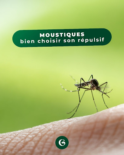 Tous les répulsifs ne se valent pas, et choisir le mauvais peut avoir de vraies conséquences. 🦟

Ce qu'il faut savoir avant d'acheter :

🦟 Moustique tigre : présent dans plus de 70 départements français, actif en pleine journée. Un répulsif classique peut suffire.

🌍 Voyage en zone tropicale : dengue, paludisme, Zika… une protection renforcée avec des concentrations plus élevées est indispensable.

👶 Enfants & femmes enceintes : les formules standards ne sont pas toutes adaptées. Des gammes spécifiques existent selon l'âge.

⏱️ Durée de protection : elle varie selon la concentration en principe actif. À renouveler selon l'exposition et la transpiration.

Avant de partir ou pour protéger votre famille, venez nous voir. On vous guide vers le répulsif vraiment adapté à votre situation. 💚