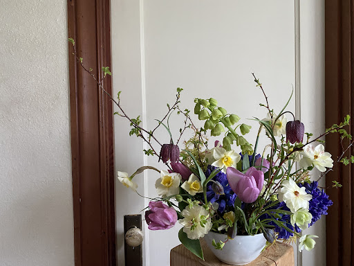 Fabled Flora - Visual
