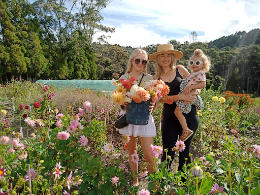 Apollo Farm NZ - Thumbnail