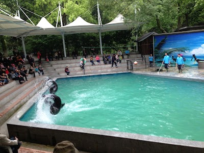 Photos of Hangzhou Zoo
