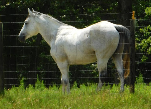 Missing Spoke Ranch - Visual