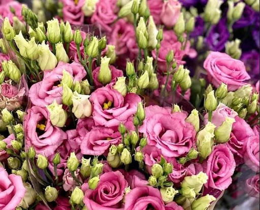 FLORES ESMERALDA *BODEGA* - Thumbnail
