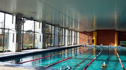Pool University - Academy Of Swimming