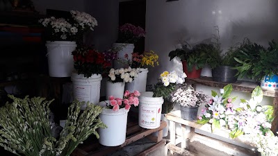 Photos of Toko Bunga cempaka/cempaka Florist