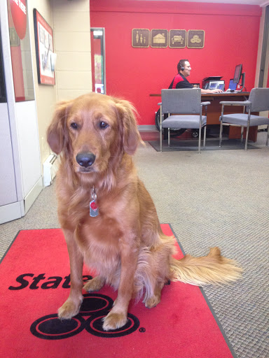 State Farm-Seth Rockey - Thumbnail