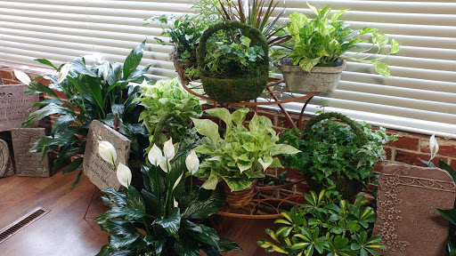 Le Sueur Florist - Thumbnail