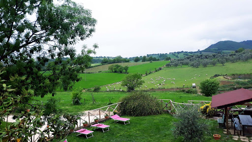 Farm The Valley of Olives - Thumbnail