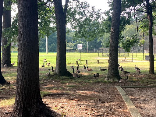 Beaver Brook Elementary Playground