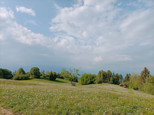 Malga Garda - Visual