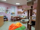 Фотография КотоКафе КОфеТерий, дом 24В, улица Некрасова, Ярославль, Россия