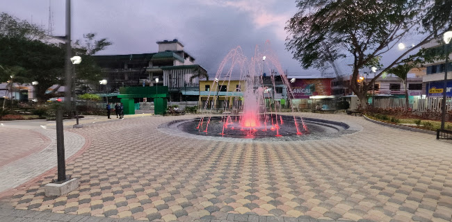 Opiniones de Parque Central en Esmeraldas - Zapatería
