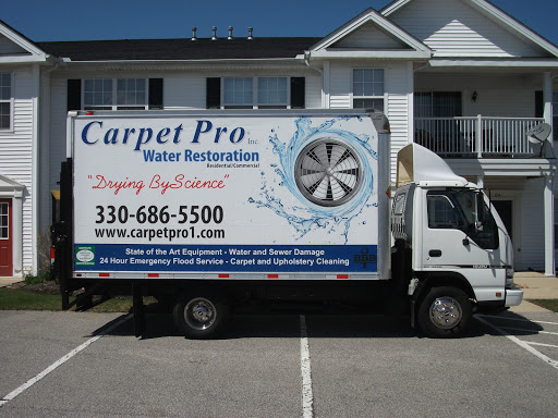 Carpet Pro Services - Visual