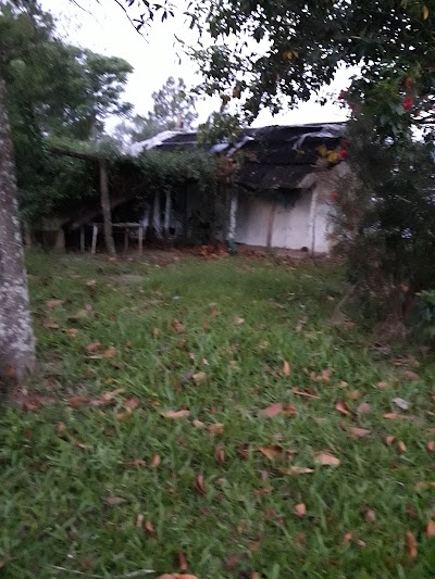 Photos of Camping Drewanz
