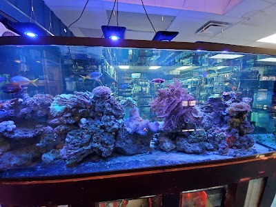 The Reef Aquarium Shop