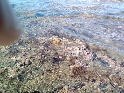 Photos of Plage Azeffoun Le Caroubier