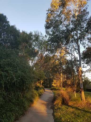 Hammock Hill Reserve - Thumbnail