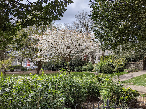 Mutley Park - Visual