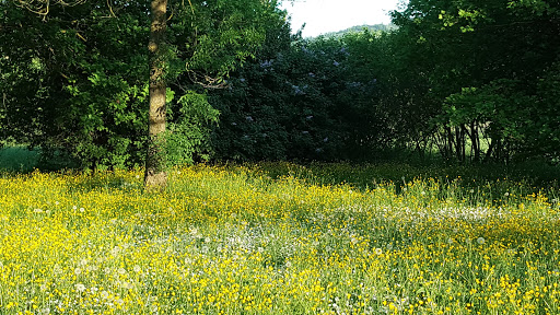 Parco Faianello - Visual