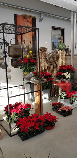 Gärtnerei und Blumenladen Wenzelburger - Thumbnail