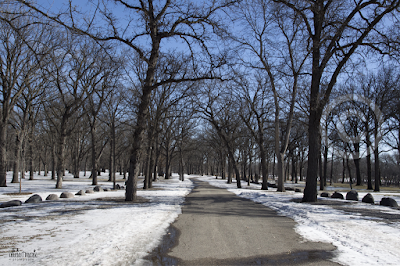 Lindenwood Park