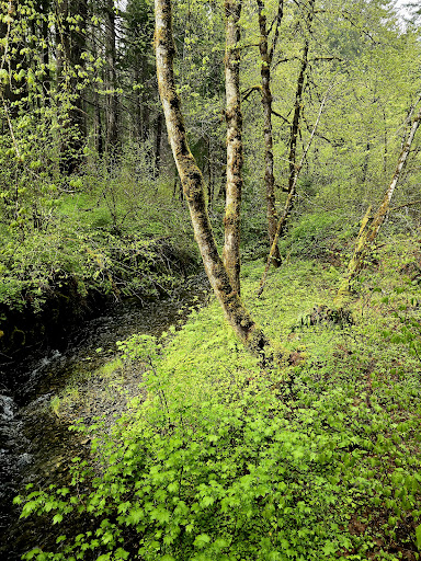 Secret Creek Campground - Thumbnail