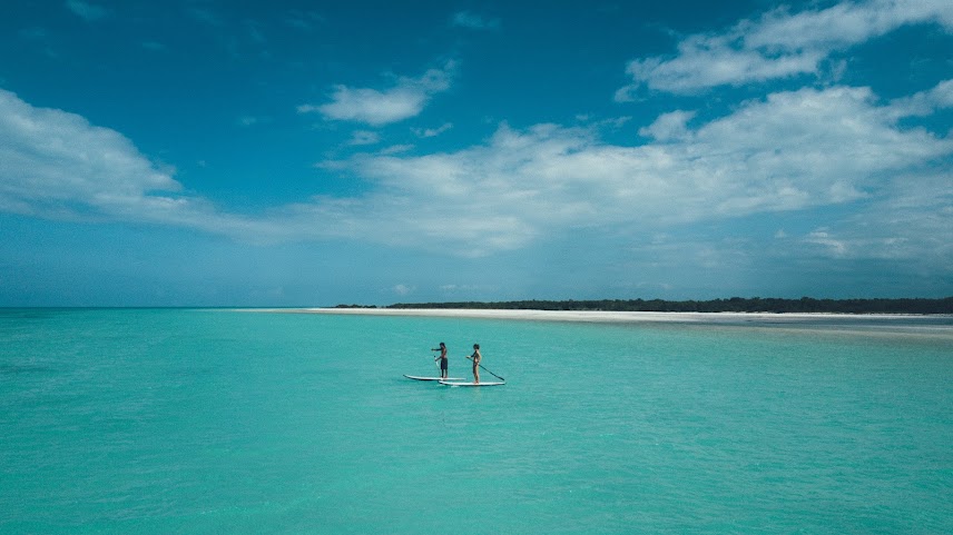 Casa Las Tortugas by null