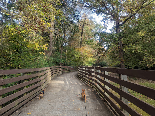 Lucille Creek Trail parking