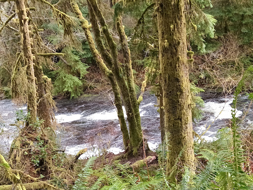 Gnat Creek Fish Hatchery - Thumbnail