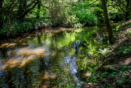 Hawley Meadows Car Park - Thumbnail