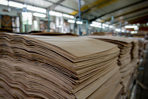 Photo n°26 de Régnier à Clairvaux sur Aube (Fournisseur de contreplaqué)