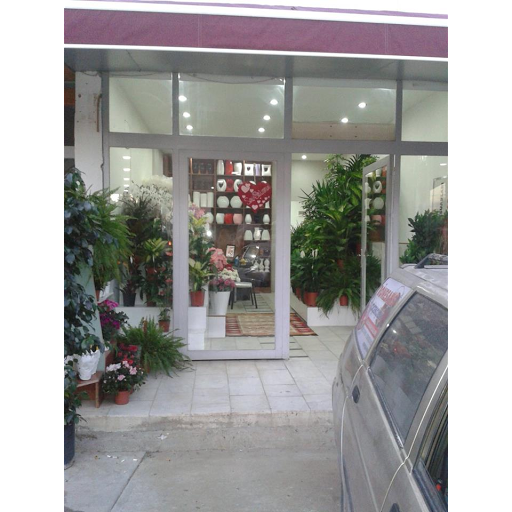 Bodrum Çiçek Rönesans Çiçekçilik